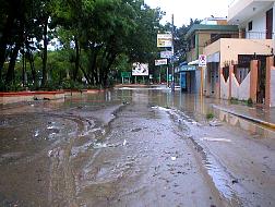 P1010313.JPG