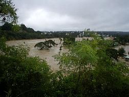 P1010316.JPG