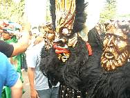 CIMG2895.jpg