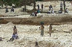 81.jpg
